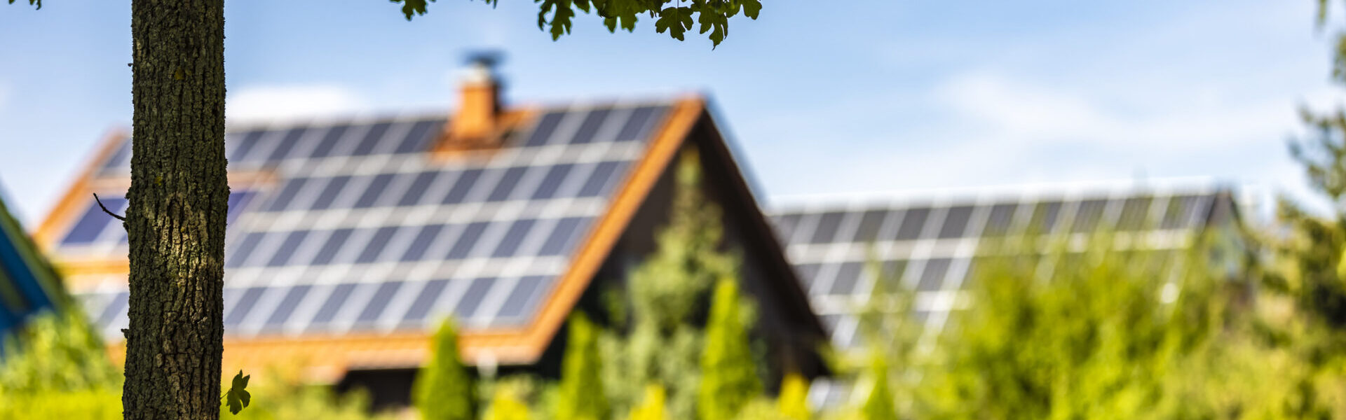 Ein mit Solarpanels bedecktes Einfamilienhaus in grüner Umgebung bei Sonnenschein, im Vordergrund ein Baum mit belaubten Ästen – Symbol für nachhaltiges und umweltfreundliches Bauen.