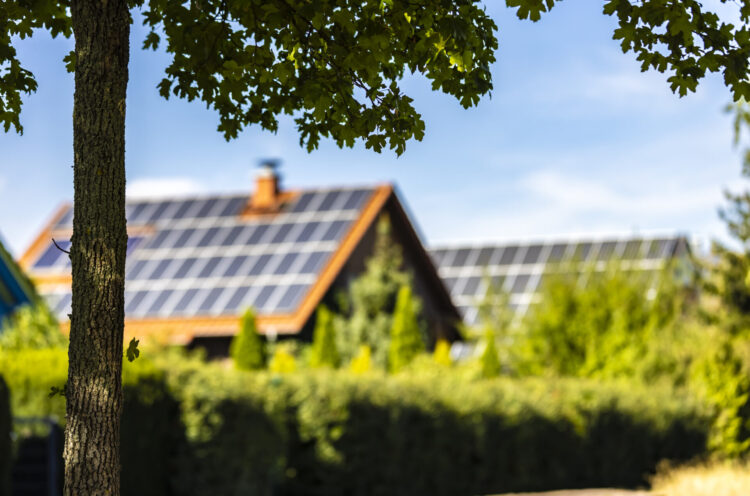 Ein mit Solarpanels bedecktes Einfamilienhaus in grüner Umgebung bei Sonnenschein, im Vordergrund ein Baum mit belaubten Ästen – Symbol für nachhaltiges und umweltfreundliches Bauen.